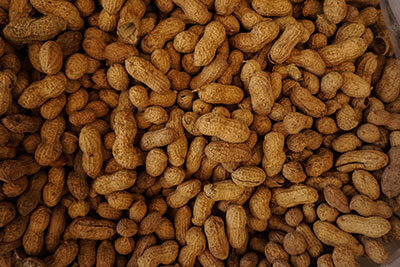 Food Allergies in Food Processing