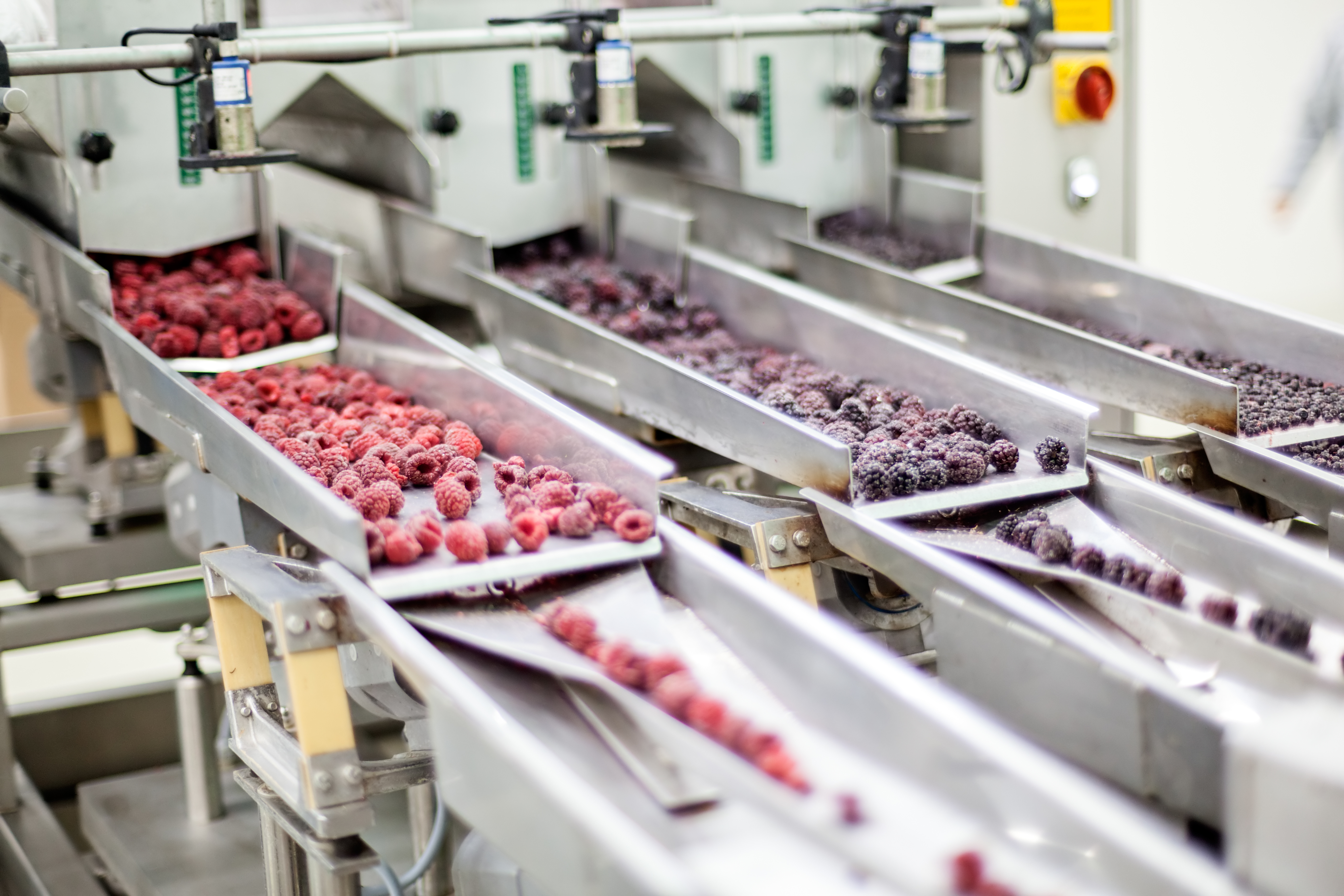 Food ERP Software